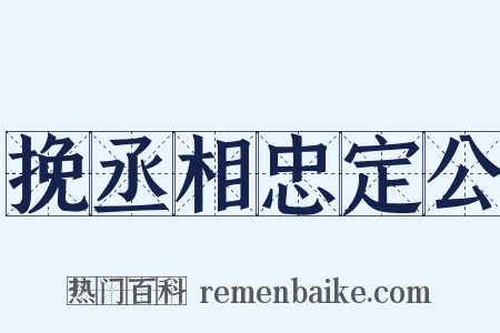 挽丞相忠定公是什么意思的图片
